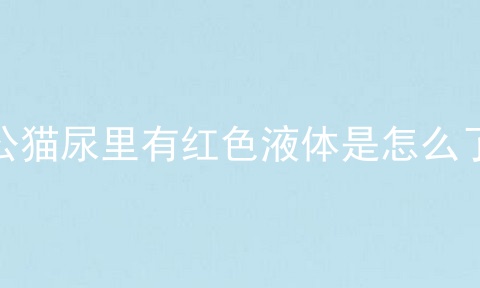 公猫尿里有红色液体是怎么了