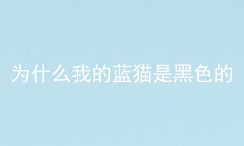 为什么我的蓝猫是黑色的