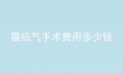 猫疝气手术费用多少钱