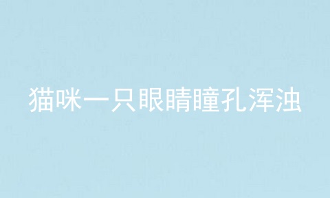 猫咪一只眼睛瞳孔浑浊