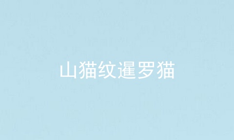 山猫纹暹罗猫