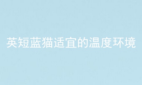 英短蓝猫适宜的温度环境