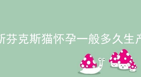 斯芬克斯猫怀孕一般多久生产