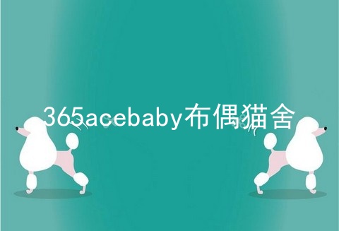 365acebaby布偶猫舍