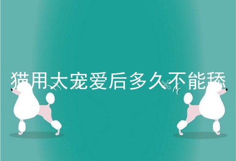 猫用大宠爱后多久不能舔