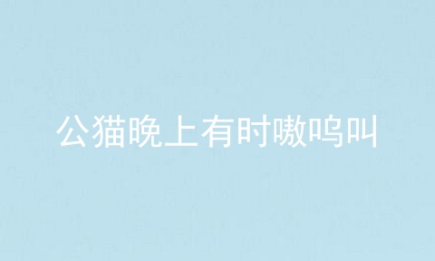 公猫晚上有时嗷呜叫