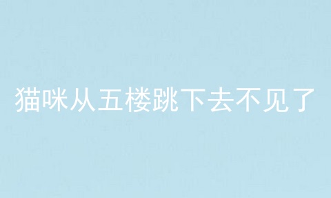 猫咪从五楼跳下去不见了