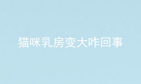 猫咪乳房变大咋回事