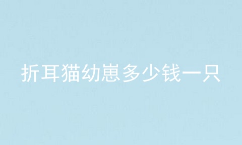折耳猫幼崽多少钱一只