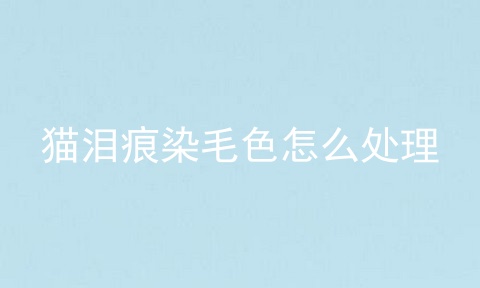 猫泪痕染毛色怎么处理