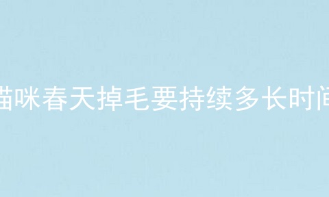猫咪春天掉毛要持续多长时间
