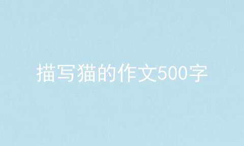 描写猫的作文500字