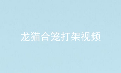 龙猫合笼打架视频