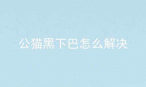 公猫黑下巴怎么解决