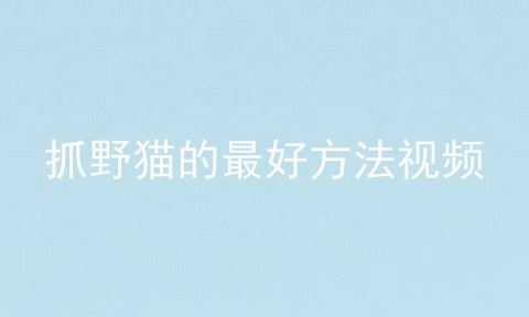 抓野猫的最好方法视频