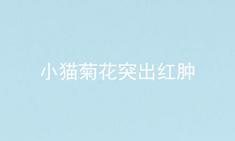 小猫菊花突出红肿