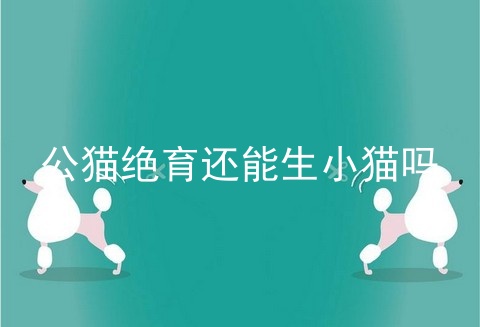 公猫绝育还能生小猫吗