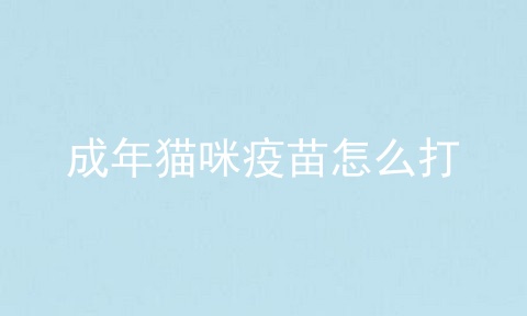 成年猫咪疫苗怎么打