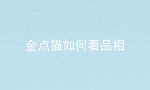 金点猫如何看品相