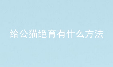 给公猫绝育有什么方法