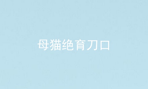 母猫绝育刀口
