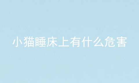小猫睡床上有什么危害