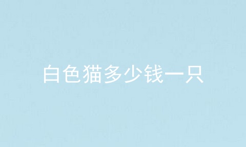 白色猫多少钱一只