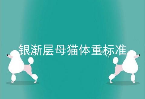银渐层母猫体重标准
