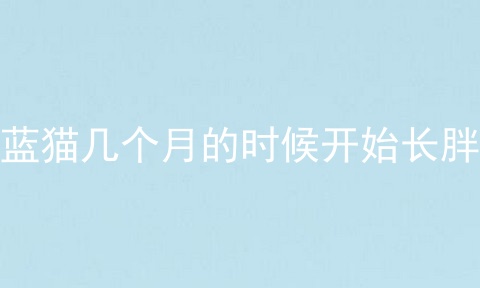 蓝猫几个月的时候开始长胖