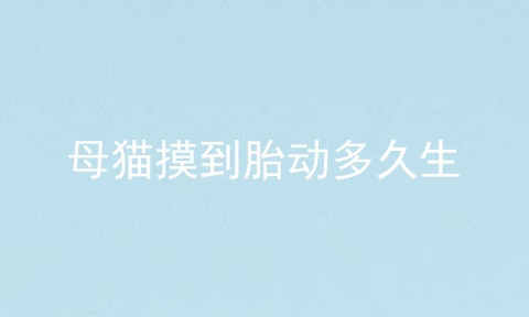 母猫摸到胎动多久生