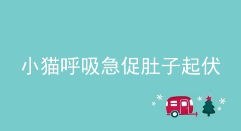 小猫呼吸急促肚子起伏
