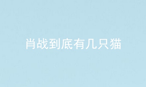 肖战到底有几只猫