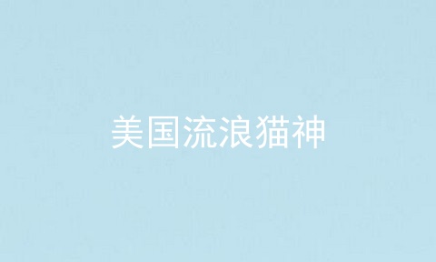美国流浪猫神