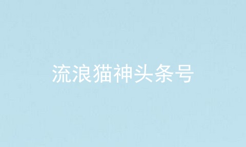 流浪猫神头条号