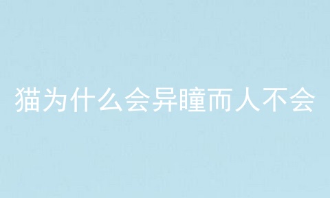 猫为什么会异瞳而人不会