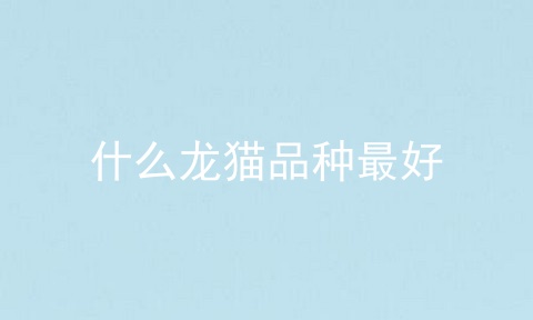 什么龙猫品种最好