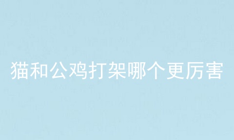 猫和公鸡打架哪个更厉害