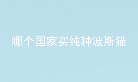 哪个国家买纯种波斯猫