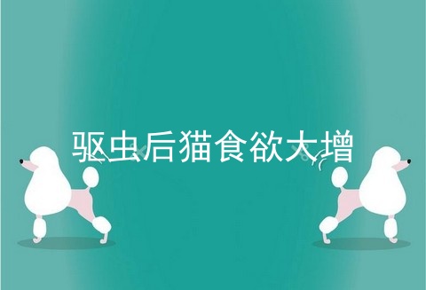 驱虫后猫食欲大增