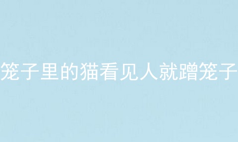 笼子里的猫看见人就蹭笼子