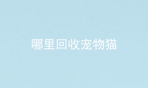 哪里回收宠物猫