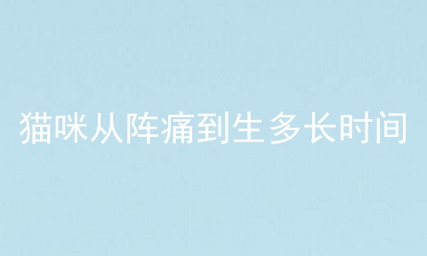 猫咪从阵痛到生多长时间