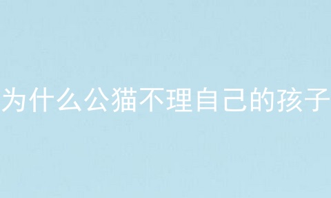 为什么公猫不理自己的孩子