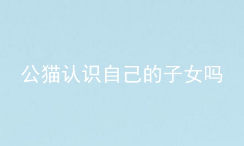 公猫认识自己的子女吗