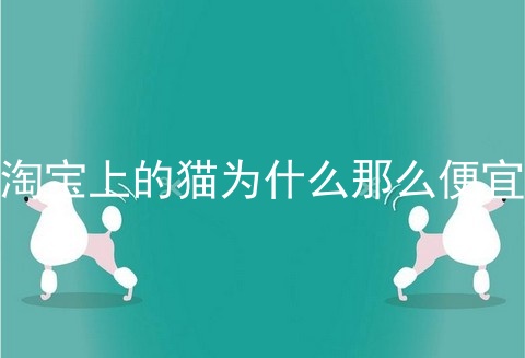 淘宝上的猫为什么那么便宜