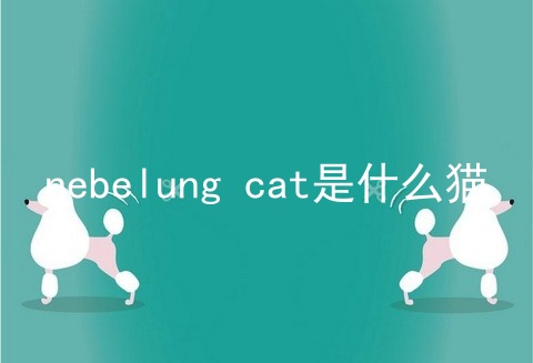 nebelung cat是什么猫
