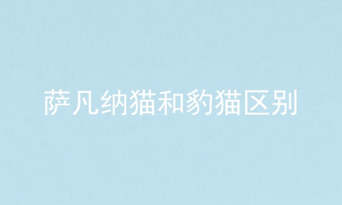 萨凡纳猫和豹猫区别