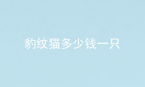 豹纹猫多少钱一只