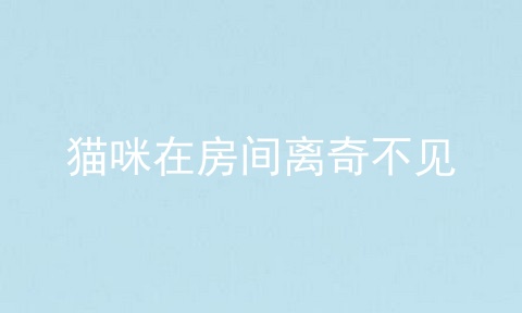 猫咪在房间离奇不见