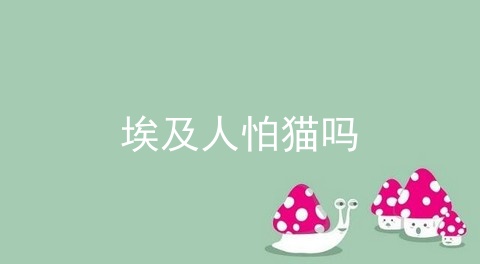 埃及人怕猫吗